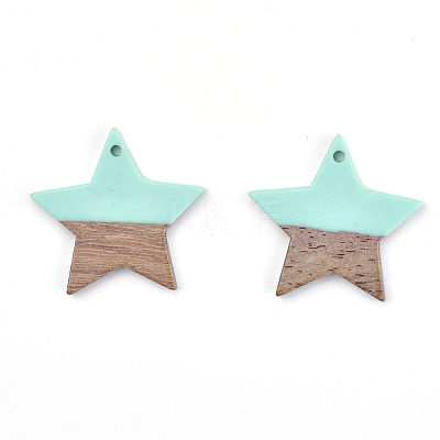 Resin & Wood Pendants LS-X-RESI-T023-23C-1