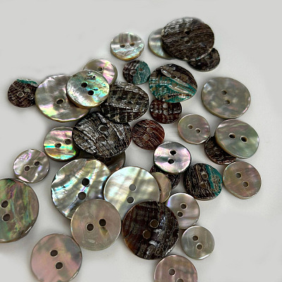 Abalone Shell/Paua Shell X-BSHE-I011-04A-1
