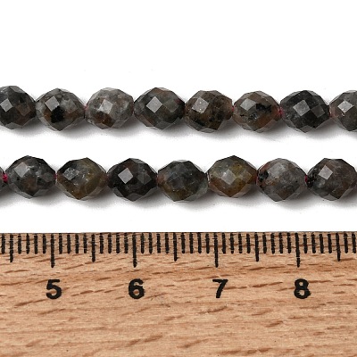 Natural Syenite Beads Strands G-K376-F09-01-1