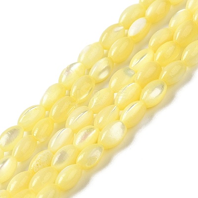 Natural Trochus Shell Beads Strands SHEL-K006-19C-1