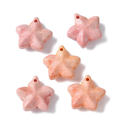 Natural Rainbow Alashan Agate Charms LS-G-G194-02D-1
