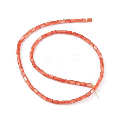 Natural Freshwater Shell Dyed Beads Strands SHEL-M018-12-02-1