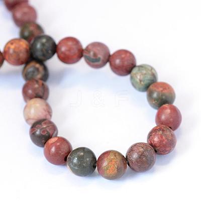 Natural Picasso Stone/Picasso Jasper Beads Strands G-E334-10mm-10-1