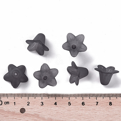 Transparent Acrylic Beads PLF018-17-1