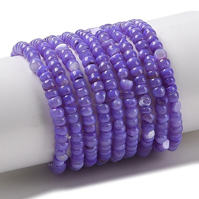 Natural Freshwater Shell Beads Strands SHEL-P017-01B-04-1