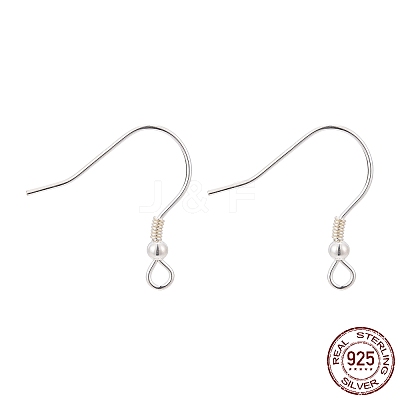 925 Sterling Silver Earring Hooks STER-T002-166S-1