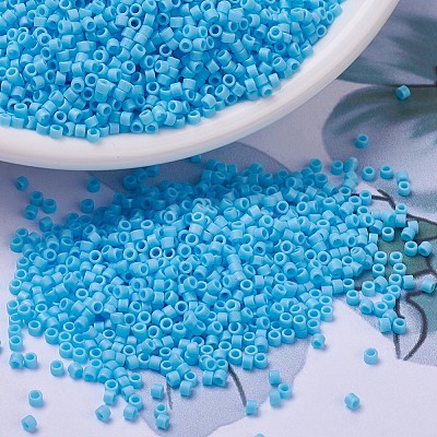 MIYUKI Delica Beads Small X-SEED-J020-DBS0879-1