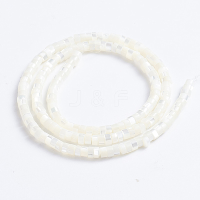 Natural Trochid Shell/Trochus Shell Beads Strands SSHEL-L016-13A-1