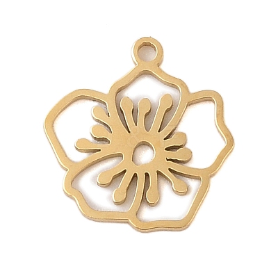 304 Stainless Steel Pendants STAS-S139-06G-12-1