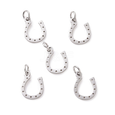 Tarnish Resistant 304 Stainless Steel Charms LS-STAS-S105-T519S-1