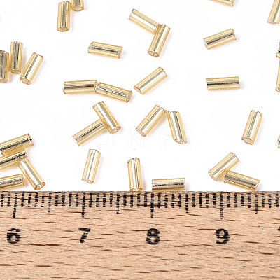 Glass Bugle Beads SEED-R011-22-1