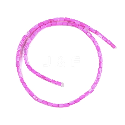 Natural Freshwater Shell Beads Strands BSHE-H109-17B-1