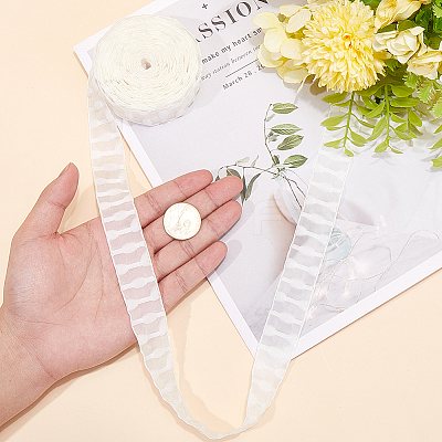 10 Yards Polyester Lace Trim Ribbon OCOR-WH20005-42D-1