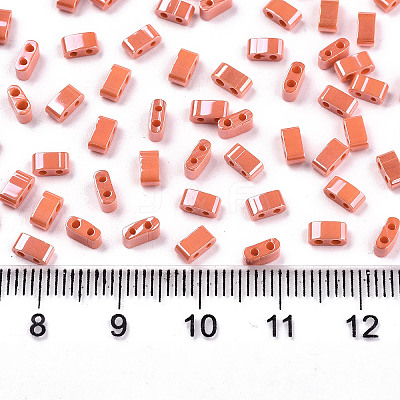 FGB 2-Hole Glass Seed Beads SEED-S031-M-SH130-1