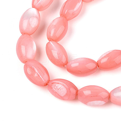 Natural Trochus Shell Beads Strands SHEL-K006-19-01E-1