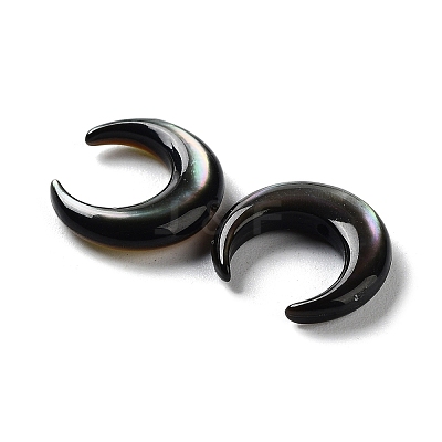 Natural Black Lip Shell Beads SHEL-M020-04A-1