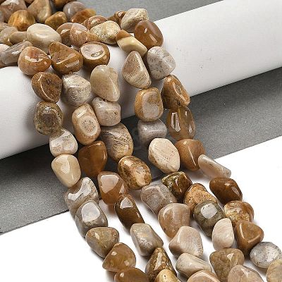 Natural Fossil Coral Beads Strands G-P497-01E-36-1