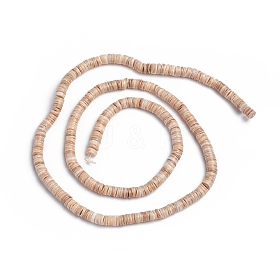 Shell Beads Strands BSHE-G026-01-1