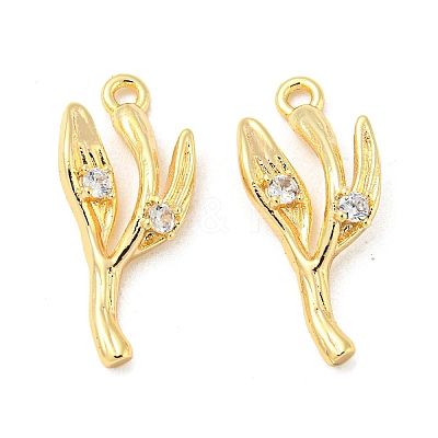 Brass Micro Pave Clear Cubic Zirconia Pendant KK-H460-22G-1