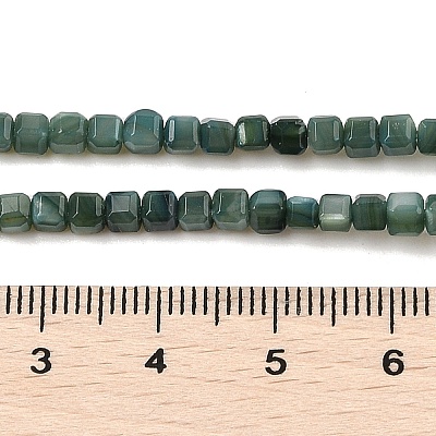 Natural Freshwater Shell Dyed Beads Strands SHEL-R100-11A-05-1