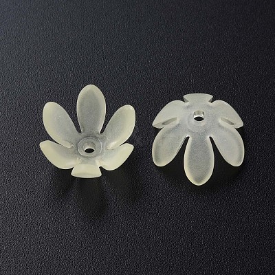 Transparent Acrylic Beads MACR-S373-47-D03-1