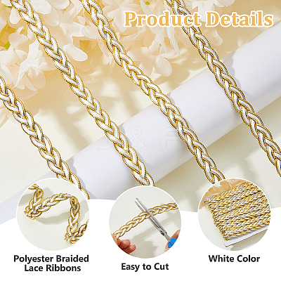 Polyester Braided Lace Ribbons OCOR-WH0105-181B-1