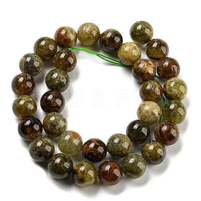 Natural Green Garnet Beads Strands G-G661-12mm-1