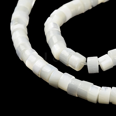 Natural Trochus Shell Beads Strands BSHE-E030-09B-01-1