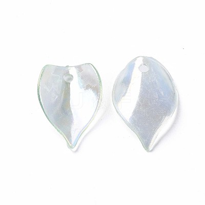 Transparent Acrylic Beads MACR-S373-103-C04-1