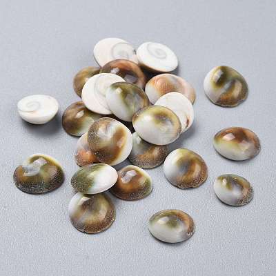 Natural Sea Shell Cabochons SSHEL-K026-03A-1