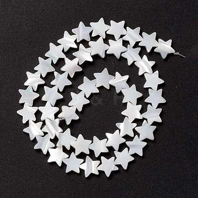 Natural Trochid Shell/Trochus Shell Beads SSHEL-O001-25C-02-1