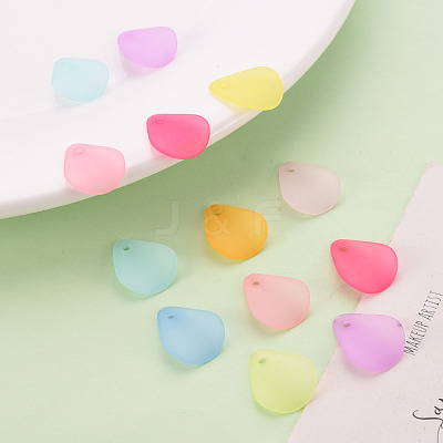 Transparent Frosted Acrylic Pendants X-MACR-S371-09A-1