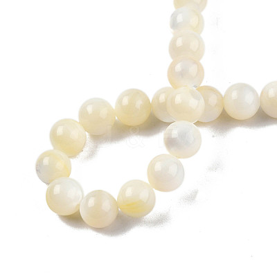 Natural White Shell Bead Strands SSHEL-N003-144H-01-1