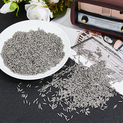 Stainless Steel Beads STAS-WH0017-062-1