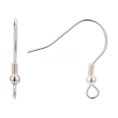 925 Sterling Silver Earring Hooks STER-T002-166S-1