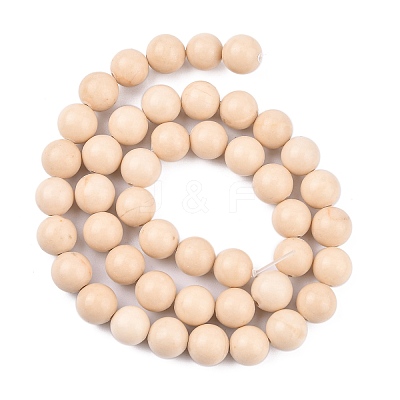 Natural Fossil Beads Strands LS-G-E110-8mm-2-1