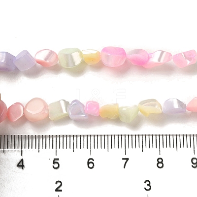 Rainbow Color Dyed Natural Freshwater Shell Beads Strands SHEL-G018-02E-1