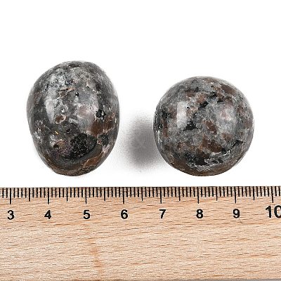 Natural Syenite Beads G-G348-01B-46-1