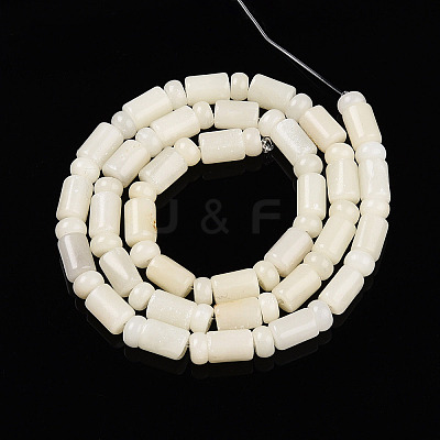 Natural White African Opal Beads Strands G-N346-03A-10-1