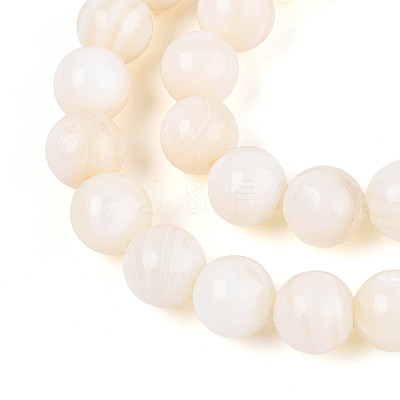Natural Freshwater Shell Beads Strands SHEL-N038-05-1