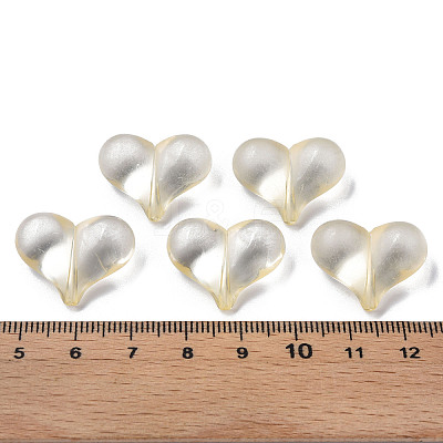 Transparent Acrylic Beads MACR-S373-70-B13-1
