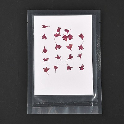 Cornflower Embossing Dry Flower DIY-K032-62A-1