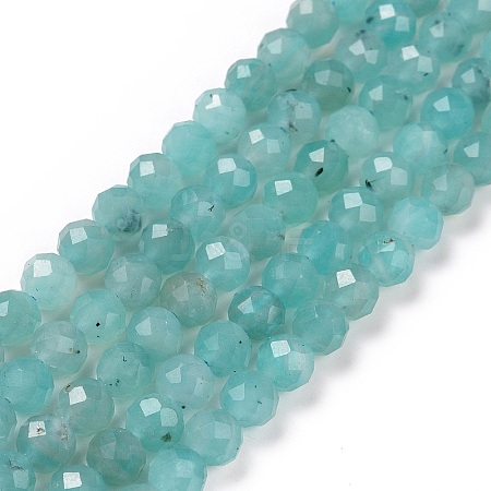 Natural Amazonite Beads Strands G-C009-A01-1