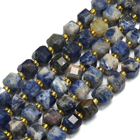 Natural Sodalite Beads Strand G-I376-D71-01-1