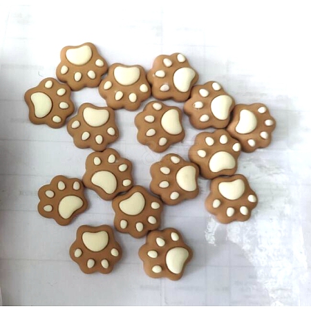 Resin Cabochons LS-RESI-A012-01C-1