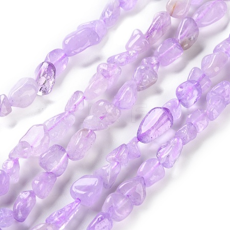 Natural Amethyst(Dyed & Heated) Beads Strands G-P497-01C-44-1