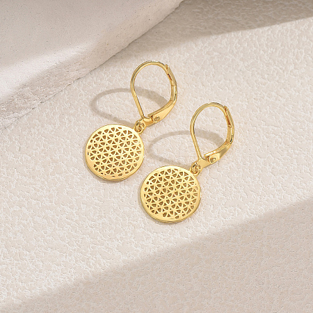 Elegant Brass Geometric Hoop Earrings HZ0185-3-1