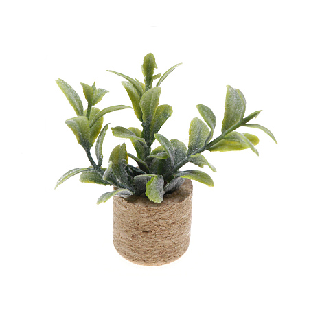 Plastic Potted Plant Mini Model PW-WGD7CCF-05-1