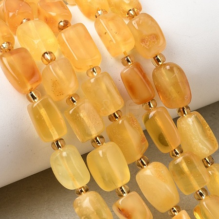 Natural Amber Beads Strands G-K376-G02-02-1