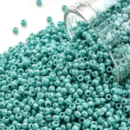 TOHO Round Seed Beads SEED-TR11-0413-1